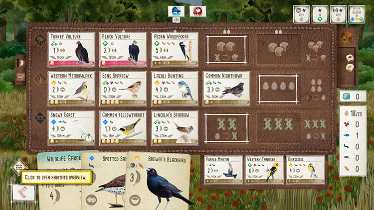 Wingspan Birds